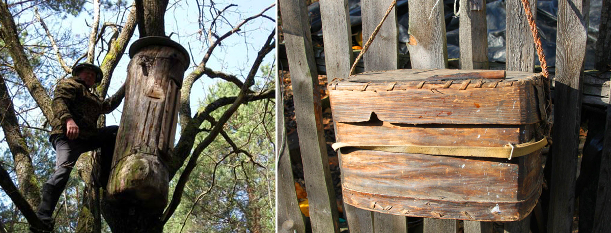 2016_05_Bortnictva_C