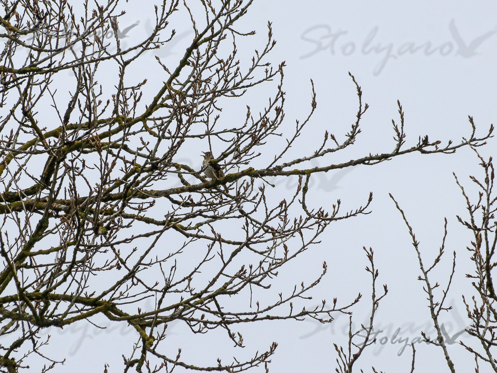 337299844_131601353205672_2991142382527431863_n