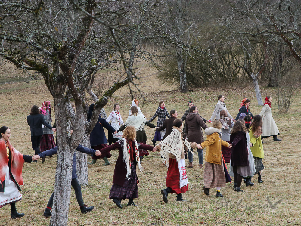 337503266_1563876067476715_7428345339462622981_n