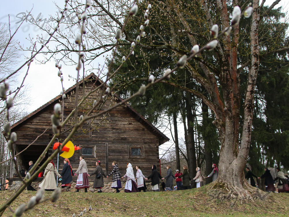 337511549_507238854747587_7190755271837750985_n