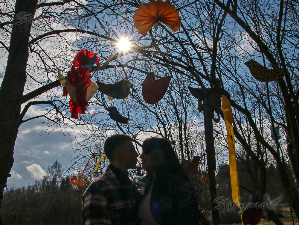 337511950_3347997778756837_2771690537701691083_n